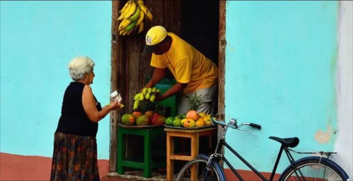 Seguranças Afiançadas no SUAS